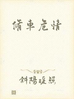 修车危情
