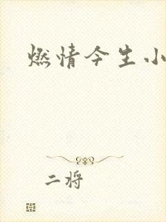 燃情今生小说