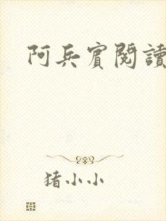 阿兵宾阅读目录