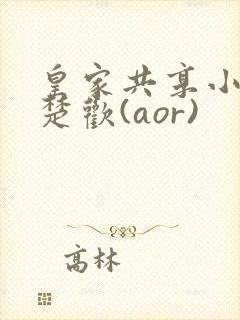 皇家共享小公主楚欢(aor)