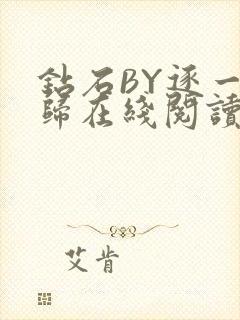 钻石BY逐一而归在线阅读