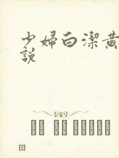 少妇白洁黄色小说