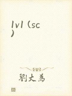 1v1 (sc)