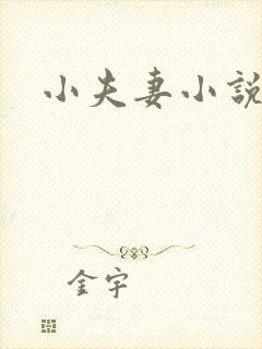 小夫妻小说