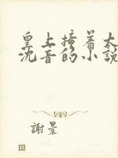皇上撞着太子妃沈音的小说叫什么