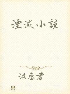 湮灭小说