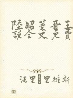 陆昭菱晋王的小说全文免费阅读