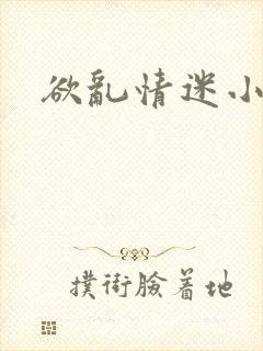 欲乱情迷小说