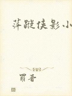 萍踪侠影小说