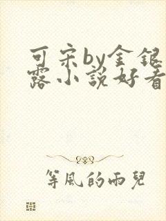 可宋by金银花露小说好看吗