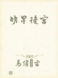 明星后宫