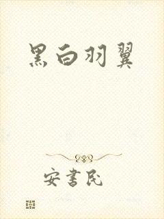 黑白羽翼