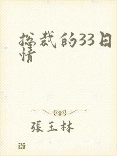 总裁的33日索情