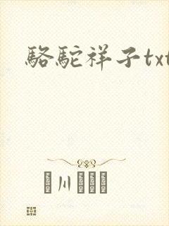 骆驼祥子txt
