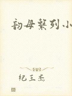 韵母系列小说封面