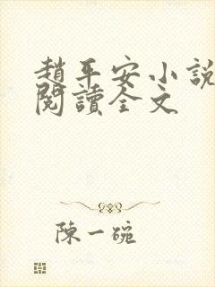 赵平安小说免费阅读全文封面
