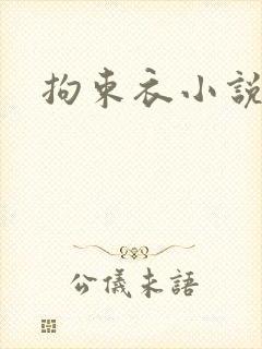 拘束衣小说