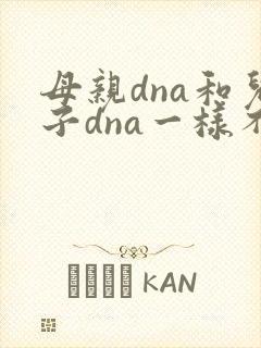 母亲dna和儿子dna一样不
