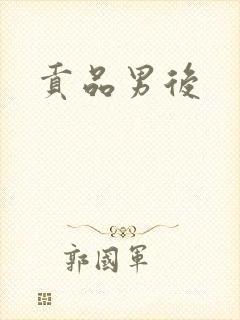 贡品男后