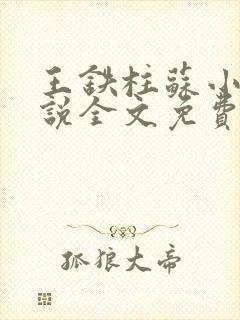 王铁柱苏小汐小说全文免费阅读最新章节封面