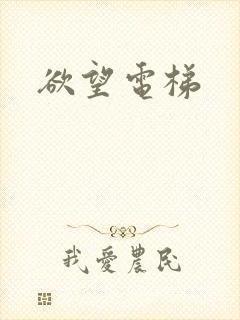 欲望电梯