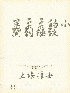 宁柔柔的小泬撑开到极致封面