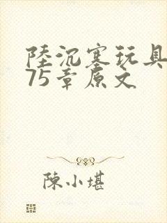 陆沉塞玩具高速75章原文