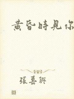 黄昏时见你封面
