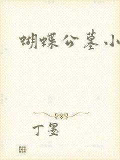 蝴蝶公墓小说封面
