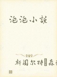 泡泡小说