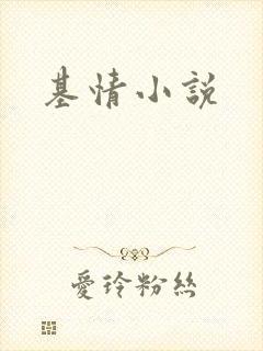 基情小说