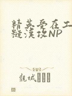 精英受在工地被糙汉攻NP