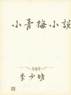 小青梅小说