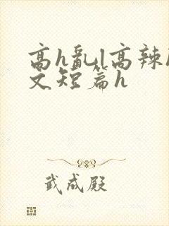 高h乱l高辣h文短篇h封面