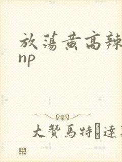 放荡黄高辣h文np