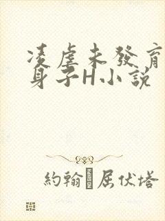凌虐未发育的小身子H小说