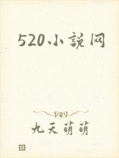 520小说网封面