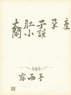 大肚子孕产笔趣阁小说