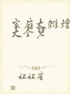 家庭大杂烩小说大全儿封面