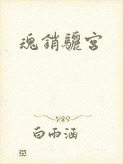魂销骊宫封面