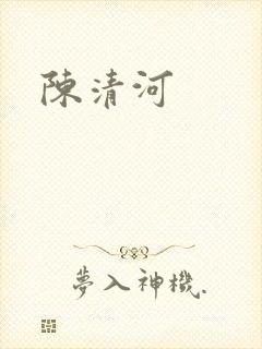陈清河封面
