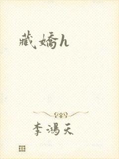 藏娇h