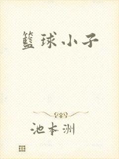 篮球小子