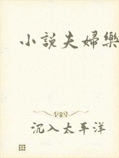小说夫妇乐园
