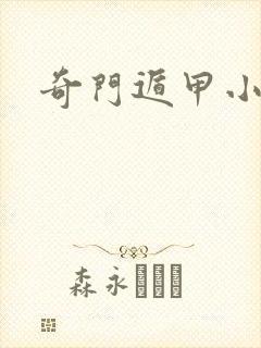 奇门遁甲小说