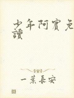 少年阿宾免费阅读