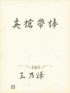 夹枪带棒封面