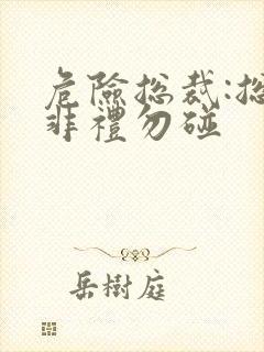 危险总裁:总裁非礼勿碰