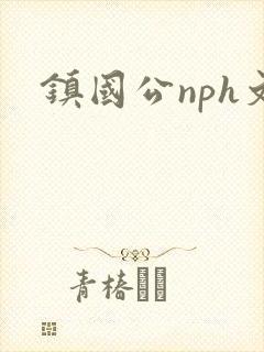 镇国公nph文