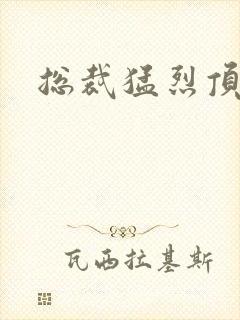 总裁猛烈顶弄h封面